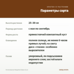 Остеоспермум Margarita Eclipse (0,1л) — параметры сорта