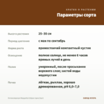 Остеоспермум Margarita Eclipse (срез/3шт) — параметры сорта