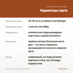 Остеоспермум Margarita Orange Flare (0,1л) — параметры сорта