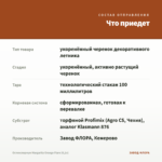 Остеоспермум Margarita Orange Flare (0,1л) — что приедет
