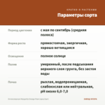 Остеоспермум Margarita Orange Flare (срез/3шт) — параметры сорта
