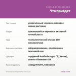 Остеоспермум Margarita Pink Flare (0,1л) — что приедет