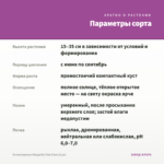 Остеоспермум Margarita Pink Flare (0,1л) — параметры сорта