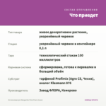 Остеоспермум Margarita Pink Flare (0,1л) — что приедет