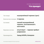 Остеоспермум Margarita Pink Flare (срез/3шт) — что приедет