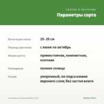 Остеоспермум Margarita White (0,1л) — параметры сорта