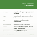 Остеоспермум Margarita White (0,1л) — что приедет