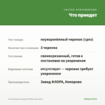 Остеоспермум Margarita White (срез/3шт) — что приедет