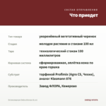 Остеоспермум Ostica Bronze (0,1л) — что приедет