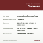 Остеоспермум Ostica Bronze (срез/3шт) — что приедет