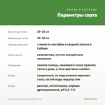 Остеоспермум Osticade Pure White (0,1л) — параметры сорта