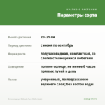 Остеоспермум Osticade Pure White (0,1л) — параметры сорта
