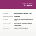 Остеоспермум Purple 3D (срез/3шт) — что приедет