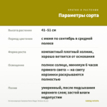 Остеоспермум SummerHero Magic Yellow (0,1л) — параметры сорта
