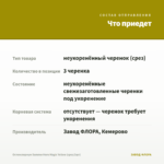 Остеоспермум SummerHero Magic Yellow (срез/3шт) — что приедет