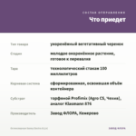 Остеоспермум Sunny Electra (0,1л) — что приедет