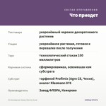Остеоспермум Sunny Electra (0,1л) — что приедет