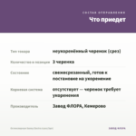 Остеоспермум Sunny Electra (срез/3шт) — что приедет