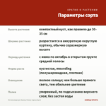 Остеоспермум Sunny Fanny (срез/3шт) — параметры сорта