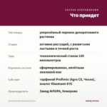 Остеоспермум Sunny Gaia (0,1л) — что приедет