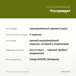 Остеоспермум Sunny Galina (срез/3шт) — что приедет