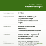 Остеоспермум Yellow (0,1л) — параметры сорта