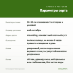 Остеоспермум Yellow (срез/3шт) — параметры сорта