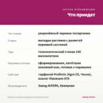 Пеларгония Династия Даджи (Dynasty Daji) (0,1л) — что приедет