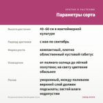 Пеларгония Emma fran Bengtsbo (0,1л) — параметры сорта
