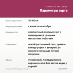 Пеларгония ИРИОЛ Сударыня Зоя (0,1л.) — параметры сорта