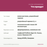 Пеларгония ИРИОЛ Сударыня Зоя (0,1л.) — что приедет