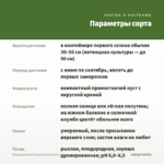Пеларгония ИВ Галина Уланова (0,1л) — параметры сорта