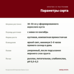 Пеларгония ИВ Королева Бирмы (0,1л) — параметры сорта