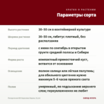 Пеларгония ИВ Королева Бирмы (0,1л) — параметры сорта