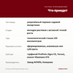 Пеларгония ИВ Королева Бирмы (0,1л) — что приедет