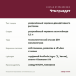 Пеларгония Королевская ангел Bordeaux (0,1л) — что приедет