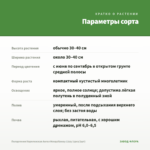 Пеларгония Королевская Ангел Mosquitaway Lizzy (срез/1шт) — параметры сорта