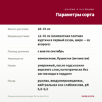 Пеларгония Королевская Angel Tip Top Duet (0,1л) — параметры сорта