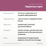Пеларгония Королевская Bermuda Pink (0,1л) — параметры сорта