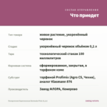 Пеларгония Королевская Bermuda Pink (0,1л) — что приедет
