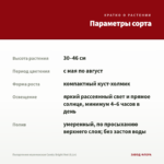 Пеларгония королевская Candy Bright Red (0,1л) — параметры сорта