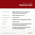 Пеларгония королевская Candy Bright Red (0,1л) — параметры сорта