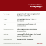 Пеларгония королевская Candy Bright Red (0,1л) — что приедет
