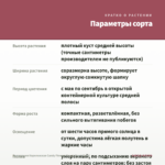 Пеларгония Королевская Candy Flowers Peach Cloud (0,1л) — параметры сорта