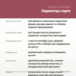 Пеларгония Королевская Candy Flowers Peach Cloud (0,1л) — параметры сорта