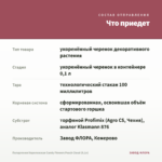 Пеларгония Королевская Candy Flowers Peach Cloud (0,1л) — что приедет