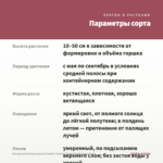 Пеларгония Королевская Candy Flowers Peach Cloud (срез/1шт) — параметры сорта