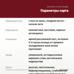 Пеларгония королевская Elegance Adele (0,1л) — параметры сорта