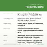 Пеларгония королевская Elegance Bravo (0,1л) — параметры сорта