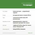 Пеларгония королевская Elegance Bravo (0,1л) — что приедет